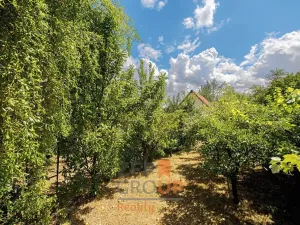 Prodej zahrady, Dyje, 501 m2