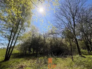 Prodej pozemku pro bydlení, Rožmitál na Šumavě, 7156 m2