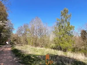 Prodej pozemku pro bydlení, Rožmitál na Šumavě, 7156 m2