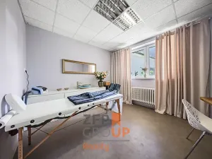 Prodej rodinného domu, Brno, Břeclavská, 417 m2
