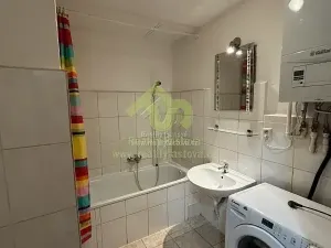 Prodej vícegeneračního domu, Plzeň, 776 m2