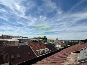 Prodej vícegeneračního domu, Plzeň, 776 m2