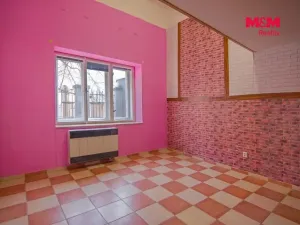 Pronájem obchodního prostoru, Mladá Boleslav - Mladá Boleslav II, Lukášova, 44 m2