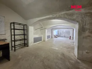 Prodej obchodního prostoru, Praha - Libeň, Pod Labuťkou, 83 m2