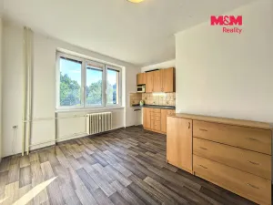 Pronájem bytu 1+kk, Žamberk, Čs. armády, 24 m2