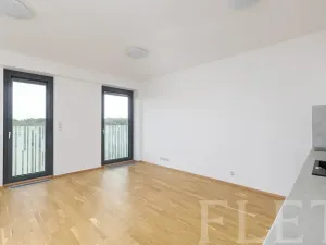 Pronájem bytu 1+kk, Praha - Žižkov, Olšanská, 36 m2