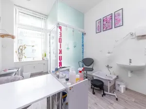 Prodej obchodního prostoru, Blansko, 9. května, 28 m2