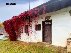 Prodej chaty, Radenín, 126 m2