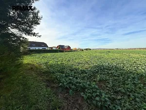 Prodej pozemku pro bydlení, Chrast, Dukelská, 4084 m2