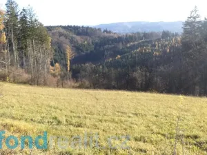 Prodej pole, Seninka, 13881 m2