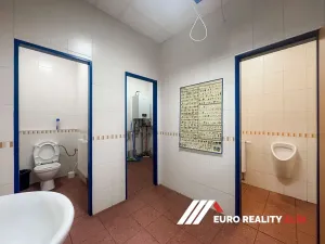 Pronájem skladu, Zlín, Cecilka, 540 m2