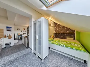 Prodej bytu 4+kk, Trutnov, Letní, 59 m2