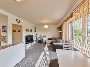 Prodej bytu 4+kk, Trutnov, Letní, 59 m2