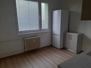 Pronájem bytu 1+1, Frýdek-Místek, K Hájku, 46 m2