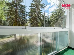 Prodej bytu 2+1, Ústí nad Labem - Neštěmice, Sibiřská, 63 m2