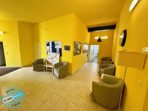 Pronájem kanceláře, Opava, Lepařova, 32 m2