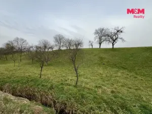 Prodej zahrady, Bezuchov, 901 m2