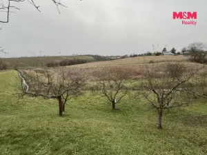 Prodej zahrady, Bezuchov, 901 m2