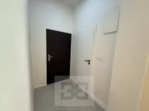 Pronájem bytu 1+1, Praha - Smíchov, Plzeňská, 44 m2