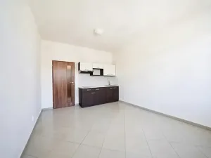 Prodej bytu 1+kk, Brno, Svitavská, 30 m2