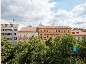 Pronájem bytu 2+1, Praha - Vinohrady, Londýnská, 54 m2