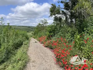 Prodej rodinného domu, Voynikovo, Bulharsko, 120 m2