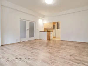 Pronájem bytu 2+kk, Praha - Žižkov, Biskupcova, 46 m2
