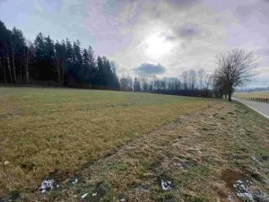 Prodej pole, Černá v Pošumaví - Bližná, 3624 m2