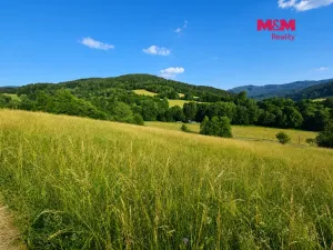 Prodej louky, Lužná, 4215 m2