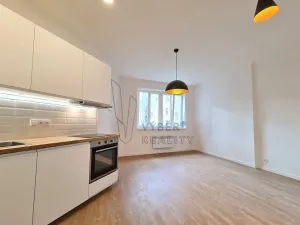 Pronájem bytu 1+kk, Praha - Vršovice, Holandská, 27 m2