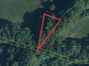 Prodej lesa, Stružnice, 590 m2