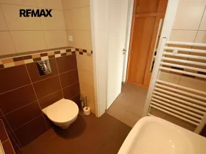 Pronájem bytu 1+kk, Velký Osek, U hřiště, 33 m2