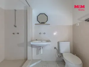 Prodej komerční nemovitosti, Plavy, 500 m2