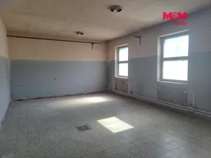 Pronájem skladu, Brno - Černovice, Hájecká, 137 m2