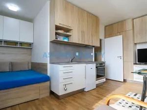 Pronájem bytu 1+kk, Praha - Hostivař, Hornoměcholupská, 30 m2