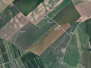 Prodej pole, Čejkovice, 14563 m2