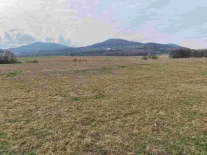 Prodej pozemku, Horní Stropnice - Bedřichov, 3502 m2