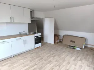 Prodej vícegeneračního domu, Běleč, Dukelská, 470 m2