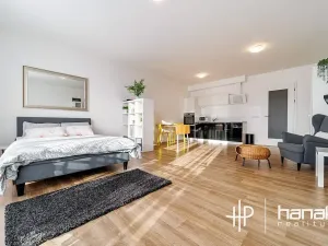 Pronájem bytu 1+kk, Olomouc, Dlouhá, 50 m2