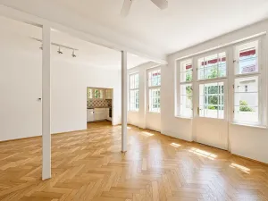 Pronájem bytu 5+kk, Praha - Hradčany, 160 m2