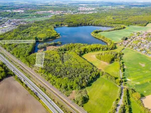 Prodej lesa, Srch - Pohránov, 12208 m2
