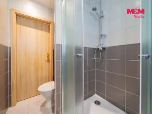 Prodej bytu 2+1, Aš, Hlavní, 61 m2