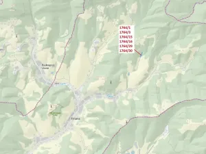 Dražba lesa, Trnava, 10498 m2
