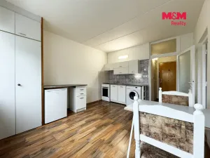 Pronájem bytu 1+1, Horní Slavkov, U Lesoparku, 35 m2