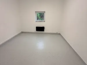 Prodej obchodního prostoru, Kralice na Hané, 630 m2