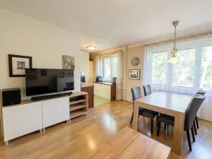 Pronájem bytu 2+1, Lovosice, Sady pionýrů, 54 m2