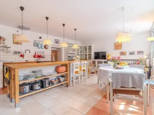 Prodej vícegeneračního domu, Lhenice, Netolická, 335 m2