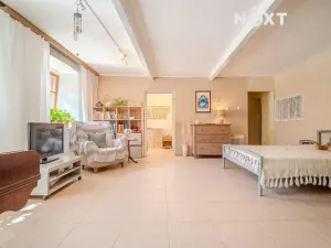 Prodej vícegeneračního domu, Lhenice, Netolická, 335 m2