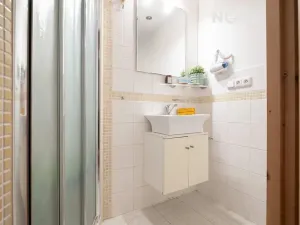 Prodej vícegeneračního domu, Lhenice, Netolická, 335 m2