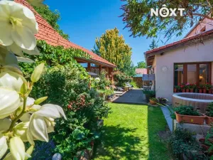 Prodej vícegeneračního domu, Lhenice, Netolická, 335 m2